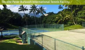 Image result for Hanney Tennis Club
