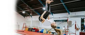 Image result for Northern Gymnastics Club CIC