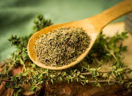 Image result for Thymian