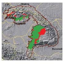 Attēlu rezultāti vaicājumam “Laserpitium pruthenicum”