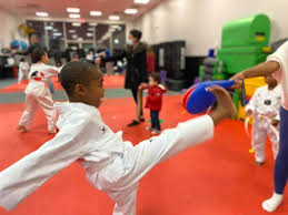 Image result for TopKick Martial Arts Center Leesburg