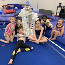 Image result for Blandford Forum Gymnastics & Kanga Club