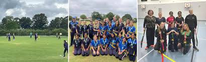 Image result for Ballinger Waggoners Cricket Club