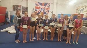 Image result for Brumby Gymnastics Club