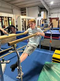 Image result for York University Gymnastics Club