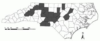 Image result for Suffolk Coastal Floaters