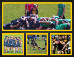 Image result for Esher Rugby Football Club