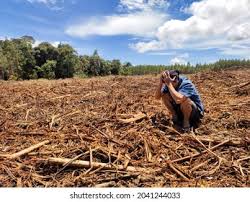 Image result for pemanasan global