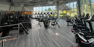 Image result for East Grinstead Swimming Club