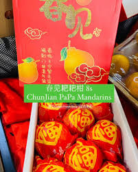 Image result for 春粒