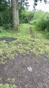 Image result for Lamb Angling Club