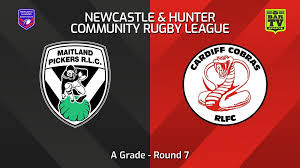 Image result for Cardiff Cobras