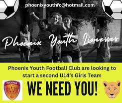 Image result for Phoenix Youth Sc