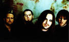 Seether Image Seether Music Videos , Pictures and Photos including Needles (Live ... Picture 1