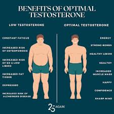 Image result for optimal tehron