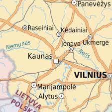 Attēlu rezultāti vaicājumam “Lycogala ustulatum”