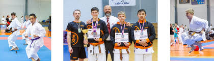 Image result for Tsunami Karate Club