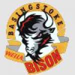 Image result for Basingstoke Bison Ice Hockey Club
