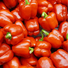 Afbeeldingsresultaat voor paper lantern hot pepper