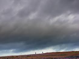 Image result for Fenland Clarion Cycling Club