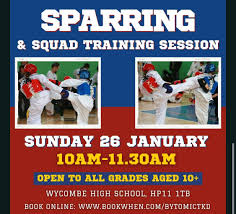 Image result for Beaconsfield Bytomic Taekwondo