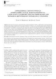 Attēlu rezultāti vaicājumam “Cephaloziella elachista”