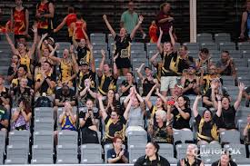 Image result for Normanton Falcons Netball Club