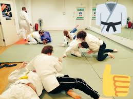 Image result for Southampton University Judo