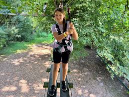 Image result for Go Ape! Leeds Castle