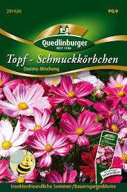 Image result for Schmuckkörbchen