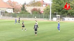 Image result for sényő