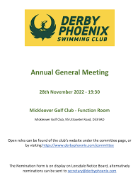 Image result for Derby Phoenix Swimming Club