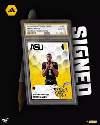 Image result for Ashton Hayes Cricket Club