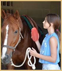 Image result for Kings Ranch Riding School/Club