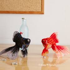 Image result for 出目金