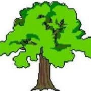 Image result for Leatherhead & Cobham Cc