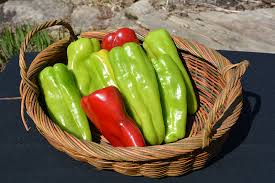 Afbeeldingsresultaat voor marconi golden sweet pepper