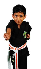 Image result for Okami Karate & Fitness Schools