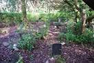 The dogs' cemetery was - via Daymix