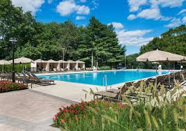 Image result for Edgewood Judo Club