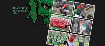 Image result for Dragons Softball Club
