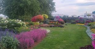 Image result for Priona Tuinen