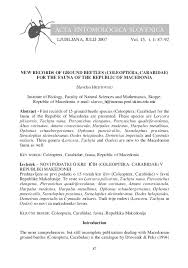 Attēlu rezultāti vaicājumam “Pterostichus quadrifoveolatus”