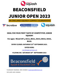 Image result for Beaconsfield Squash Club