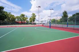 Image result for Sports Centre Netball