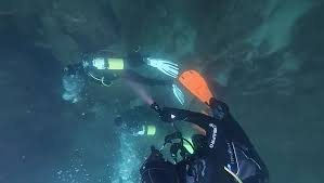 Image result for Cleveland Divers