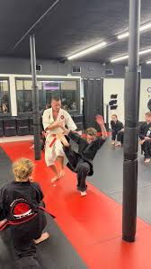 Image result for Bushido Academy Of Martial Arts (Bama)
