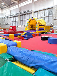 Image result for Canterbury Gymnastics Club