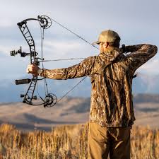 Image result for Acorn Archers