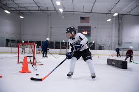 Image result for Ash Avalanche Skater Hockey Club